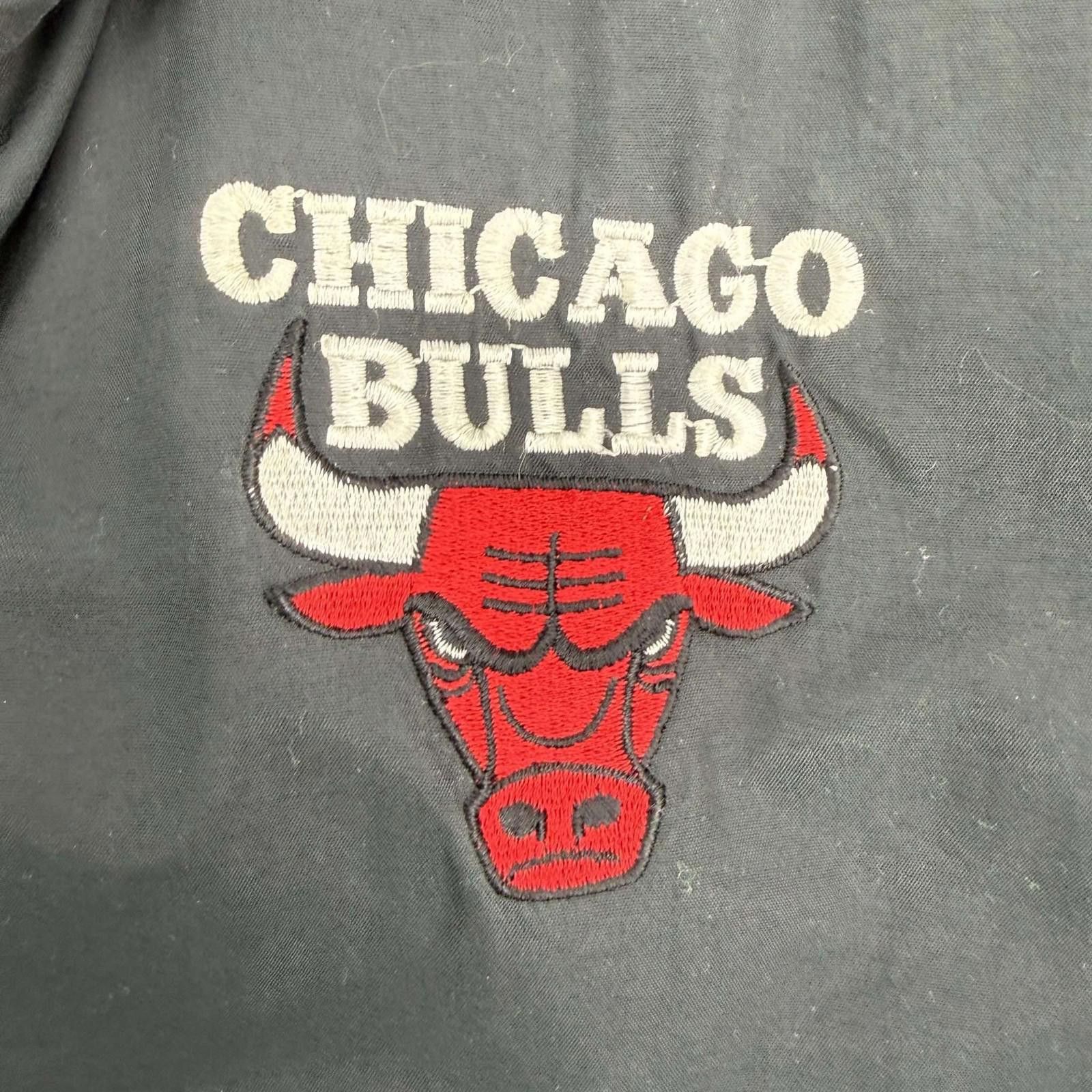 Logo 7 Vintage Logo 7 Chicago Bulls Jacket M Size US M / EU 48-50 / 2 - 4 Thumbnail
