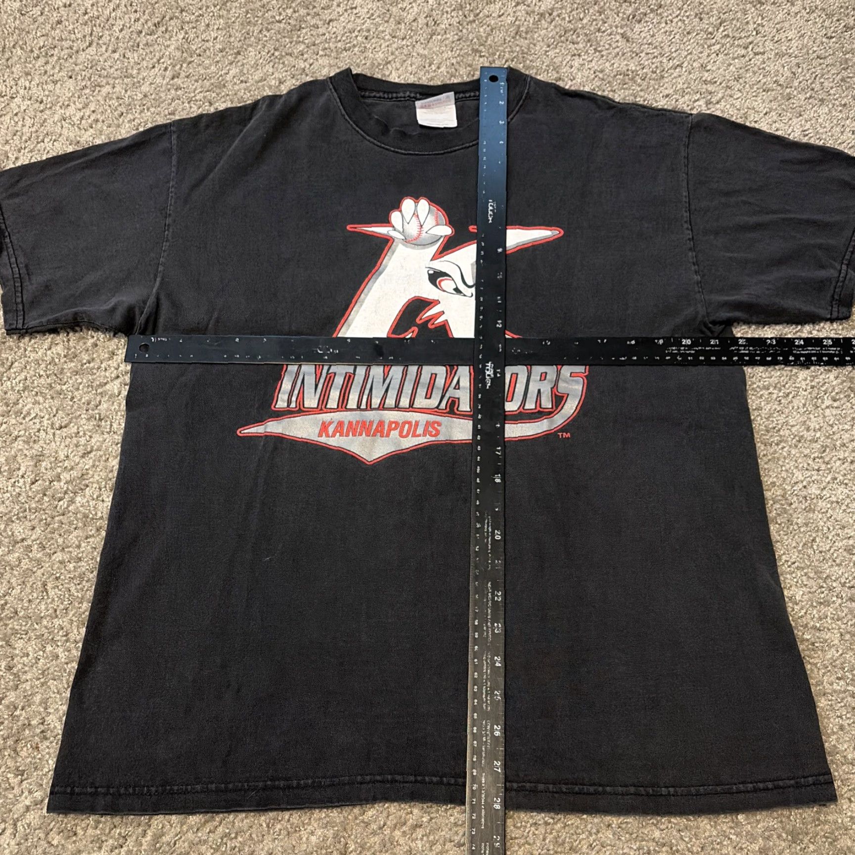Hanes VINTAGE Dale Earnhardt Kannapolis Intimidators MILB Baseball T-shirt Large Size US L / EU 52-54 / 3 - 4 Thumbnail