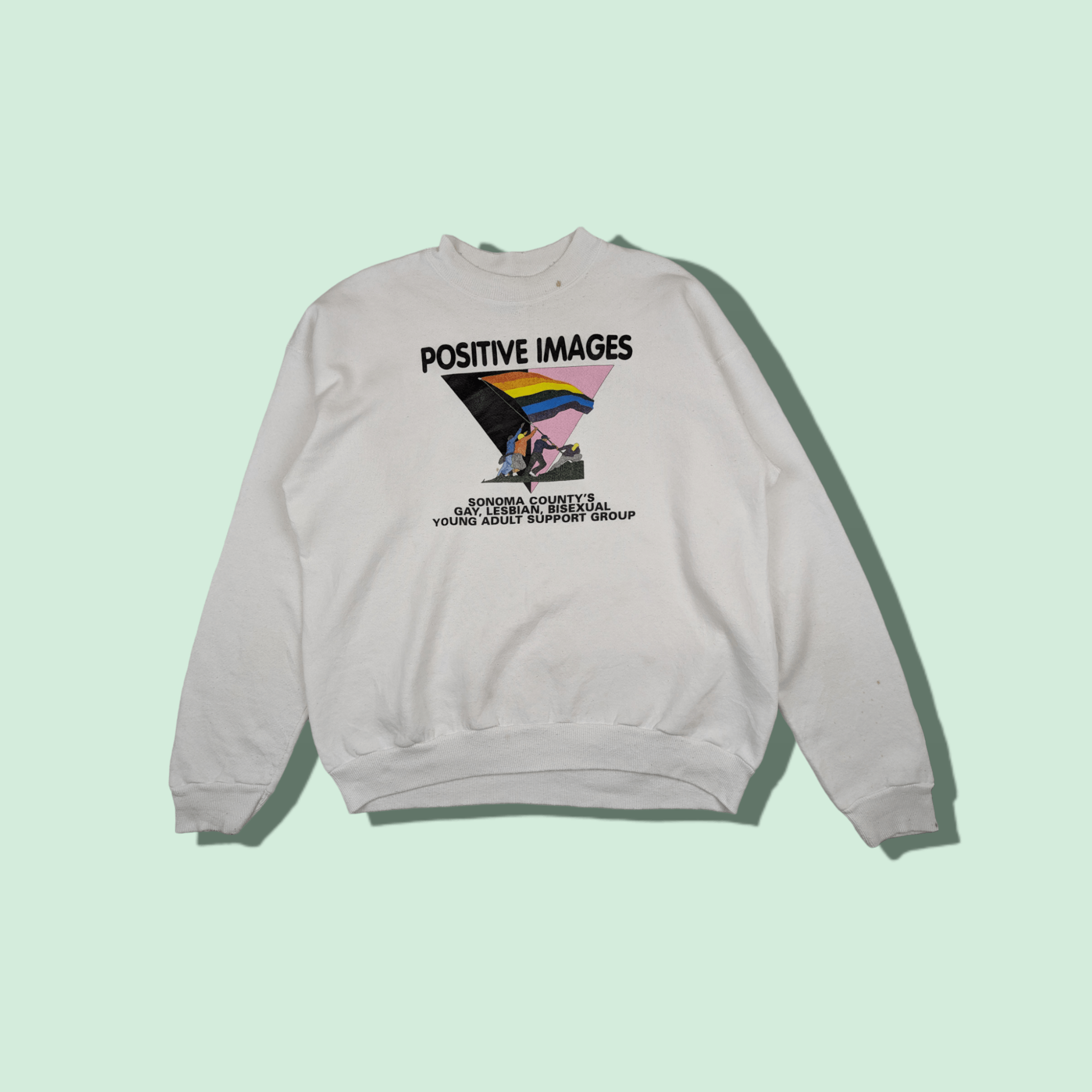 Hanes Vintage Hanes LGBT Sonoma County Positive Image Sweatshirt Size L / US 10 / IT 46 - 1 Thumbnail
