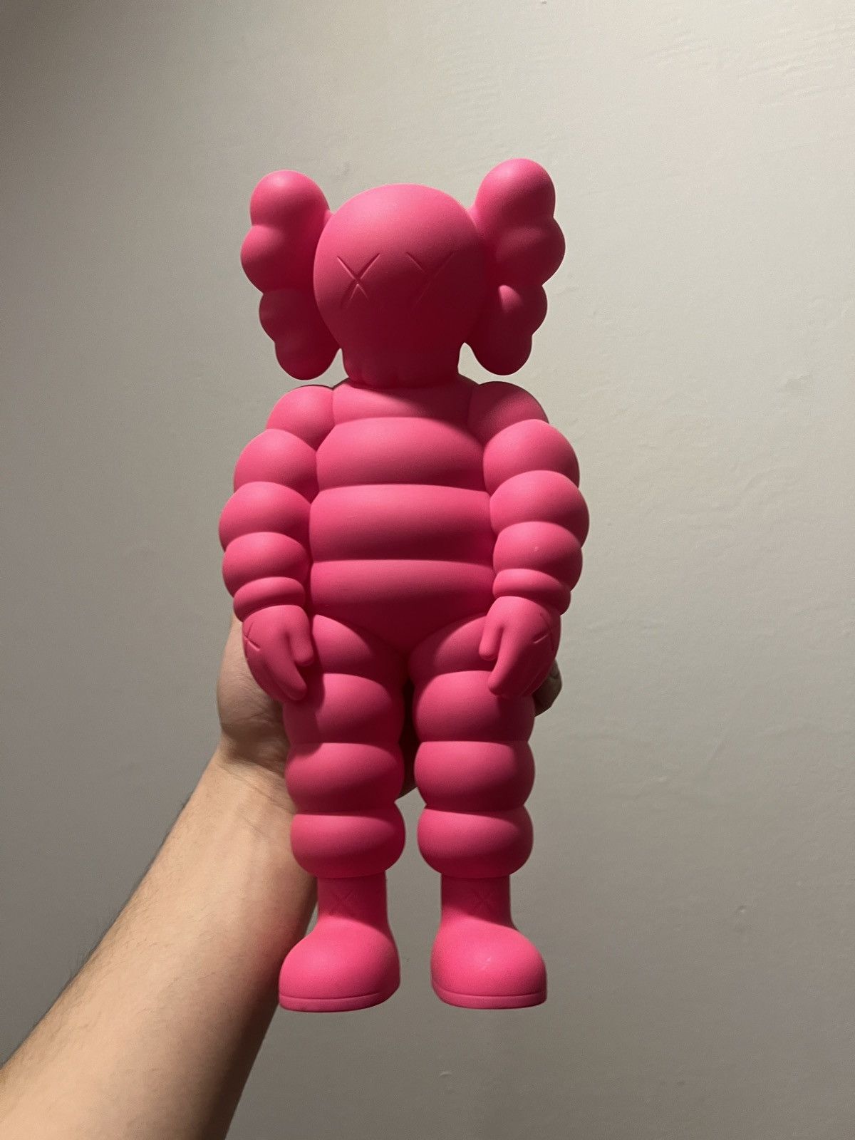 Kaws Kaws What Party Pink Size ONE SIZE - 3 Thumbnail