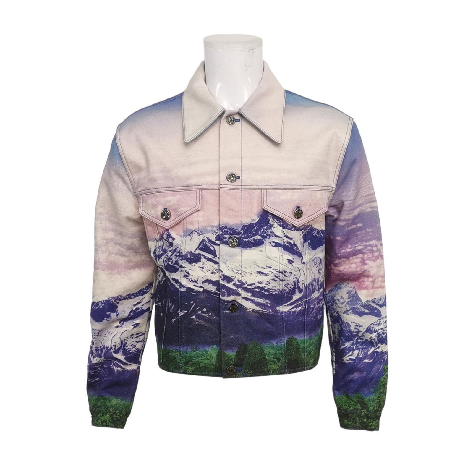 Louis Vuitton Louis Vuitton Mountain Landscape Cotton Jacket 46 Size US S / EU 44-46 / 1 - 1 Thumbnail