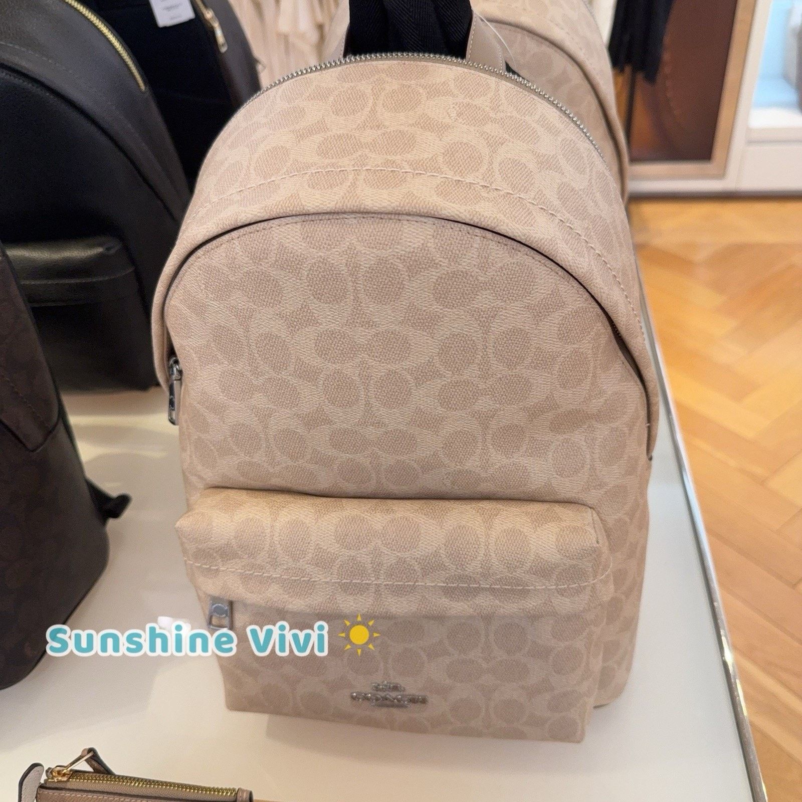 Coach NWT Coach Taylor Small Backpack CDW76 Silver/Sand/Taupe Size ONE SIZE - 2 Thumbnail