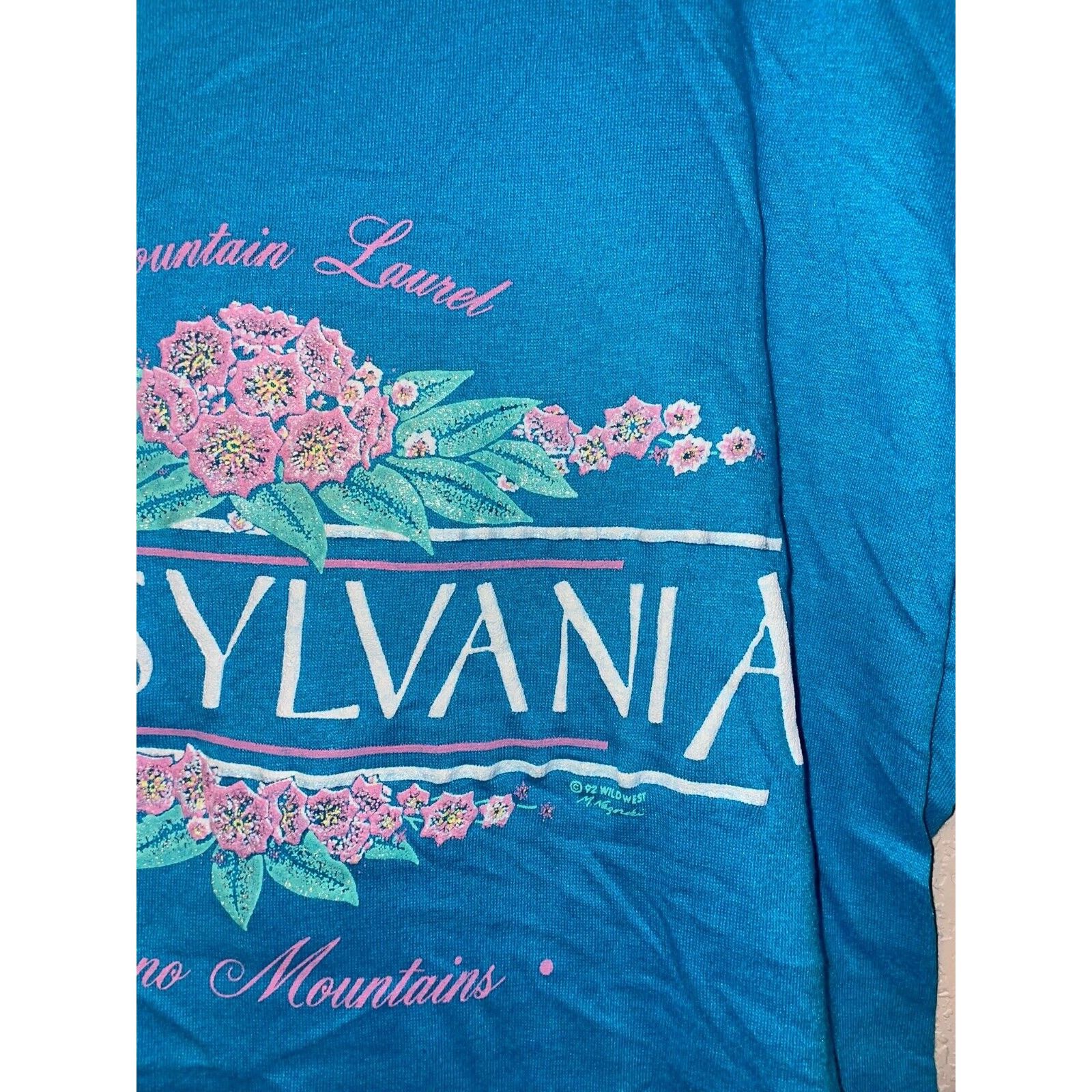 Jerzees Vintage Pocono Mountains Shirt Mountain Laurel Pennsylvania Size US L / EU 52-54 / 3 - 4 Thumbnail
