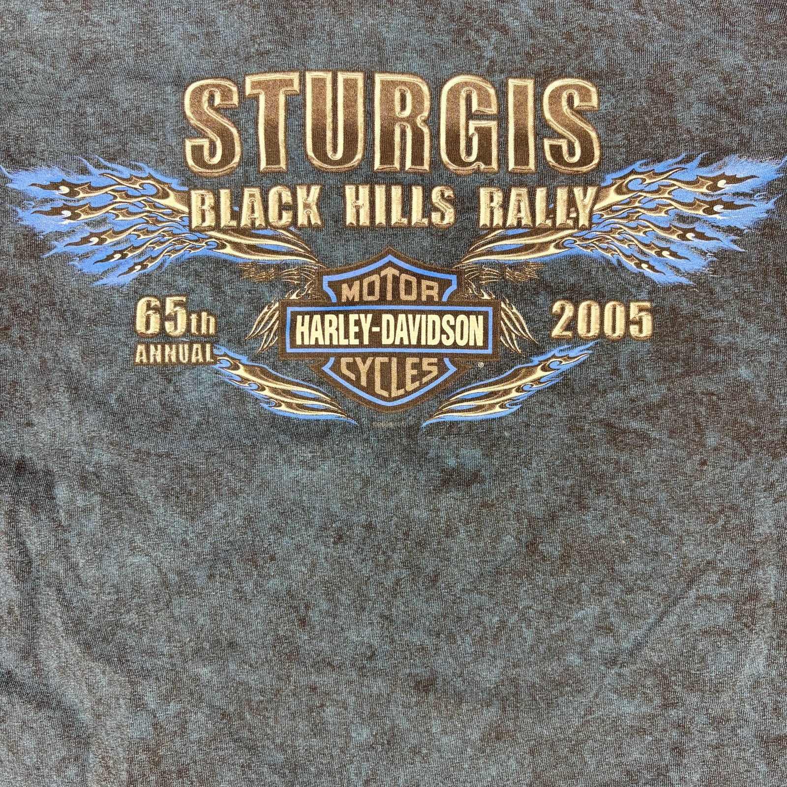 Harley Davidson Sturgis Bison Harley-Davidson T-shirt Size US L / EU 52-54 / 3 - 4 Thumbnail