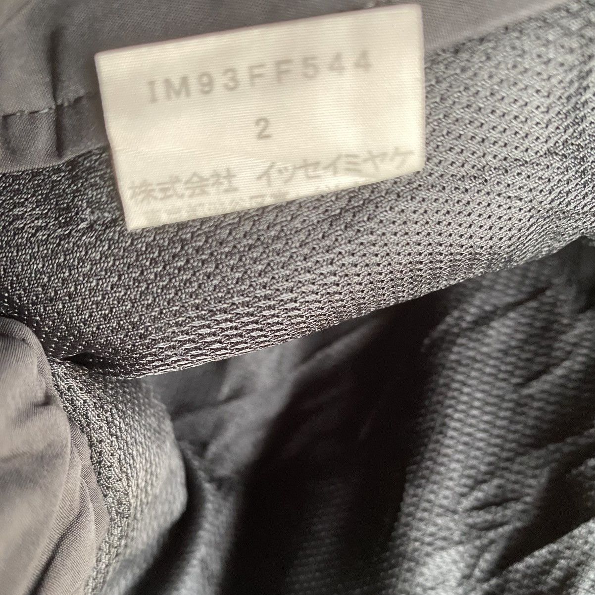 Issey Miyake Fall09 Front Zip Ballistic Pants Size US 30 / EU 46 - 6 Thumbnail