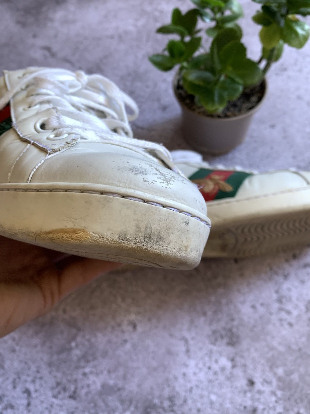 Gucci 🔥GUCCI ACE SNEAKERS Size US 9 / EU 42 - 17 Thumbnail