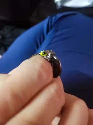 Jewelry Tsukiko x Kazue Mini Dragon Adjustable Ring Size ONE SIZE - 8 Thumbnail