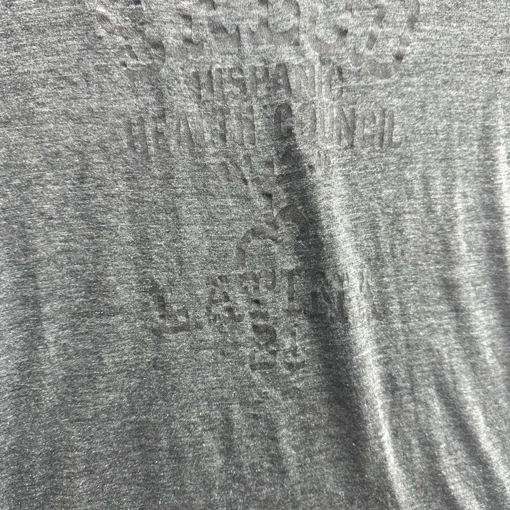 Anvil VINTAGE SEMHC Hispanic Health Council Shirt Mens Large Gray 80s Charity Event Tee Size US L / EU 52-54 / 3 - 4 Thumbnail