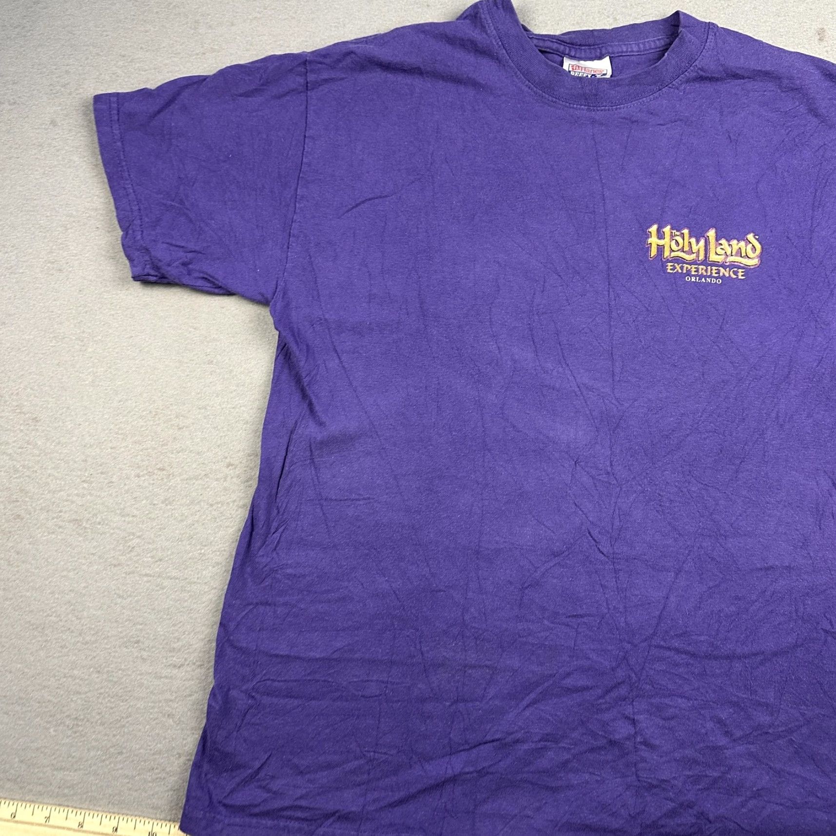 Hanes Holy Land Experience Shirt Orlando Theme Park Christian Purple Mens Medium Size US M / EU 48-50 / 2 - 3 Thumbnail