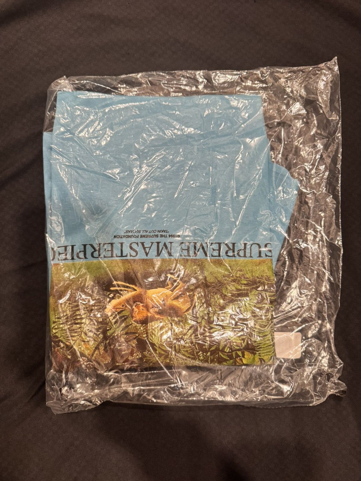 Supreme Supreme Masterpieces Tee Size US L / EU 52-54 / 3 - 2 Thumbnail