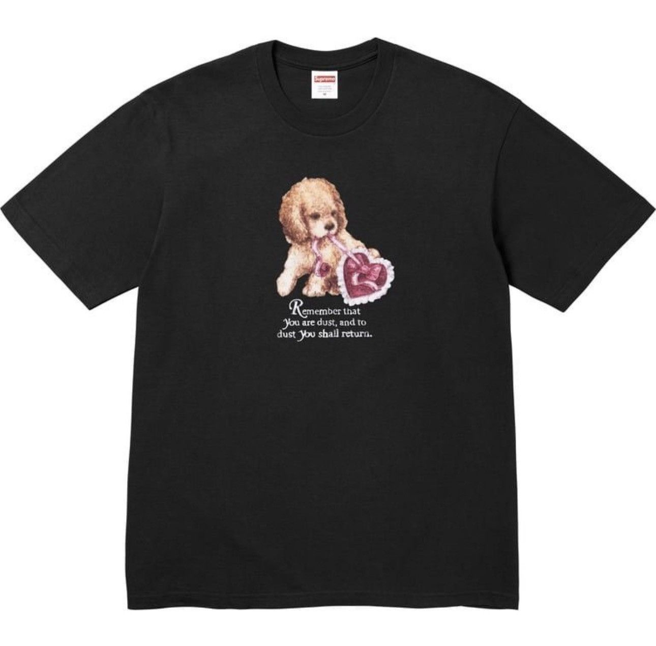 Supreme Supreme Dust tee Size US XL / EU 56 / 4 - 1 Thumbnail