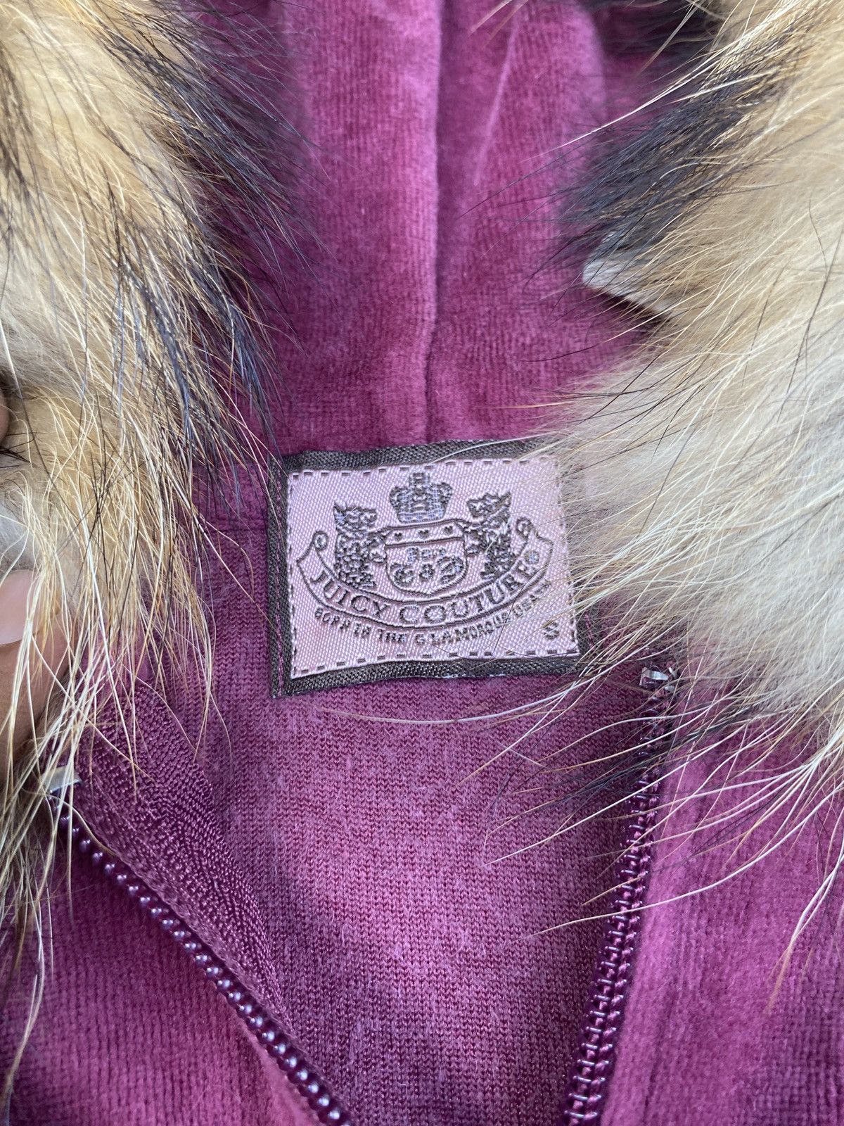 Hysteric Glamour × Japanese Brand × Le Grande Bleu (L.G.B.) Fur Velvet Hoodie Juicy Couture lgb styled Size S / US 4 / IT 40 - 4 Thumbnail