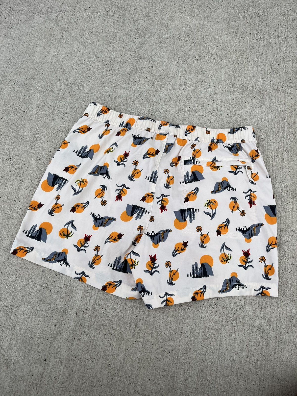 The North Face The North Face Class V Pull-On Shorts Size US 32 / EU 48 - 7 Thumbnail
