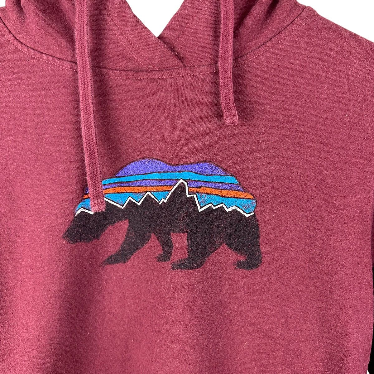Patagonia Women’s Y2K Patagonia Bear Center Logo Hoodie Size XS / US 0-2 / IT 36-38 - 2 Thumbnail