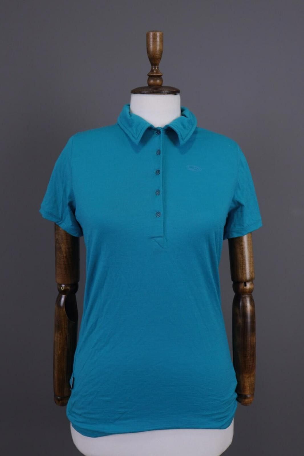 Icebreaker Icebreaker New Zeland Merino Wool T-Shirt Size M Size M / US 6-8 / IT 42-44 - 1 Thumbnail