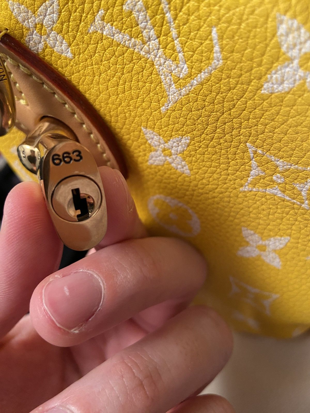 Louis Vuitton × Pharrell LOUIS VUITTON SS24 SOFT SPEEDY P9 BANDOULIÈRE 25 IN Yellow Size ONE SIZE - 13 Thumbnail