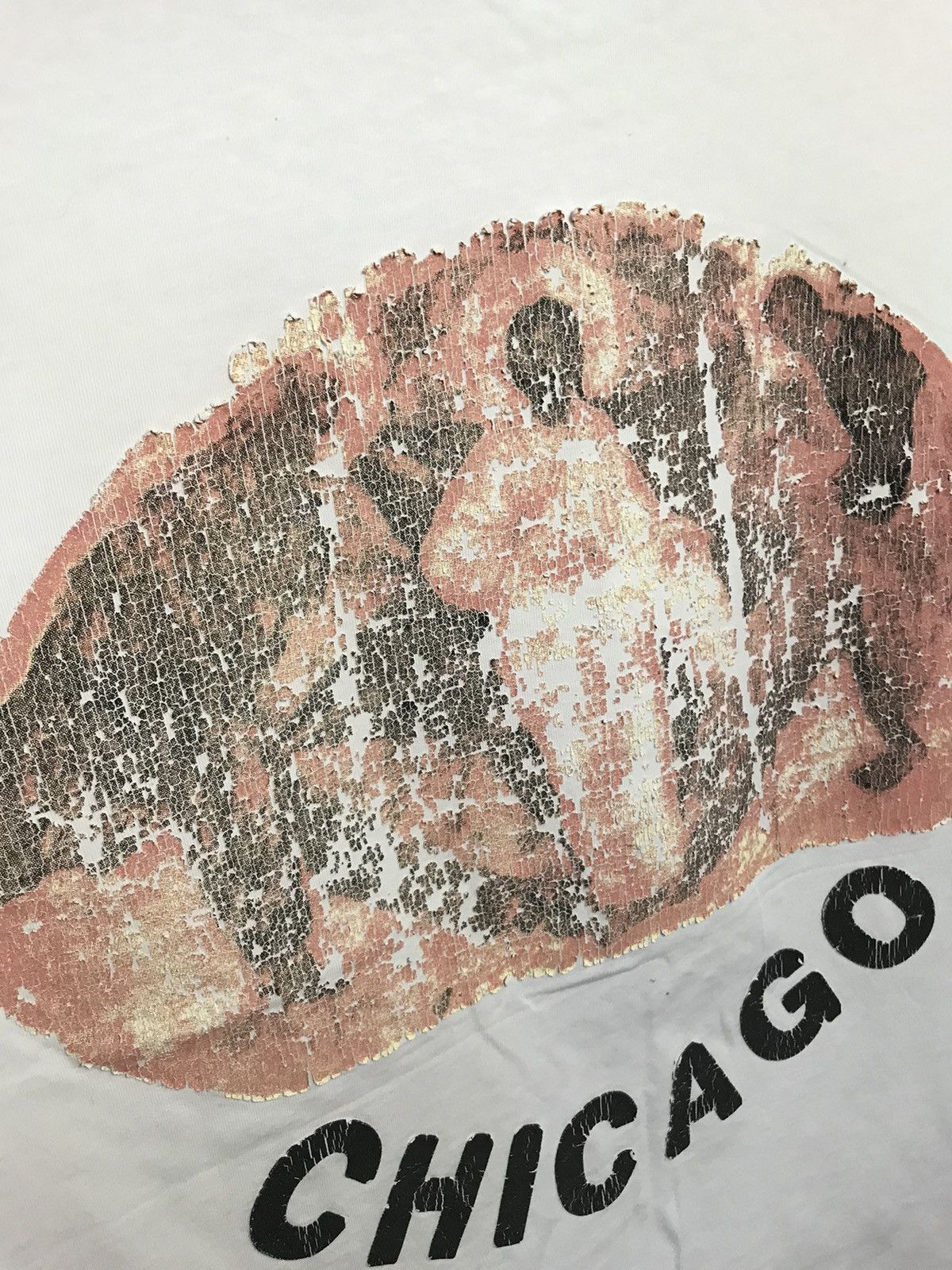 Vintage Jesus is King Kanye West Chicago tour tee Size US M / EU 48-50 / 2 - 9 Thumbnail