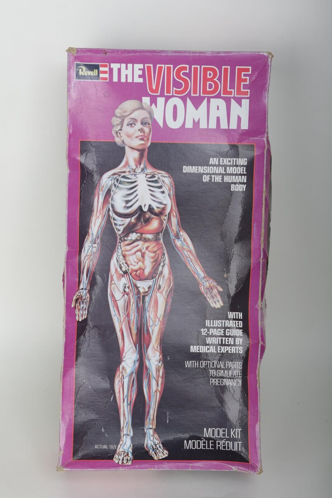 Other 60's Renwal The Invisible Woman Anatomy Model Kit Size ONE SIZE - 1 Thumbnail
