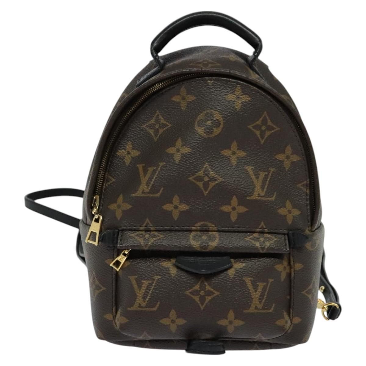 Louis Vuitton Palm Springs mini backpack