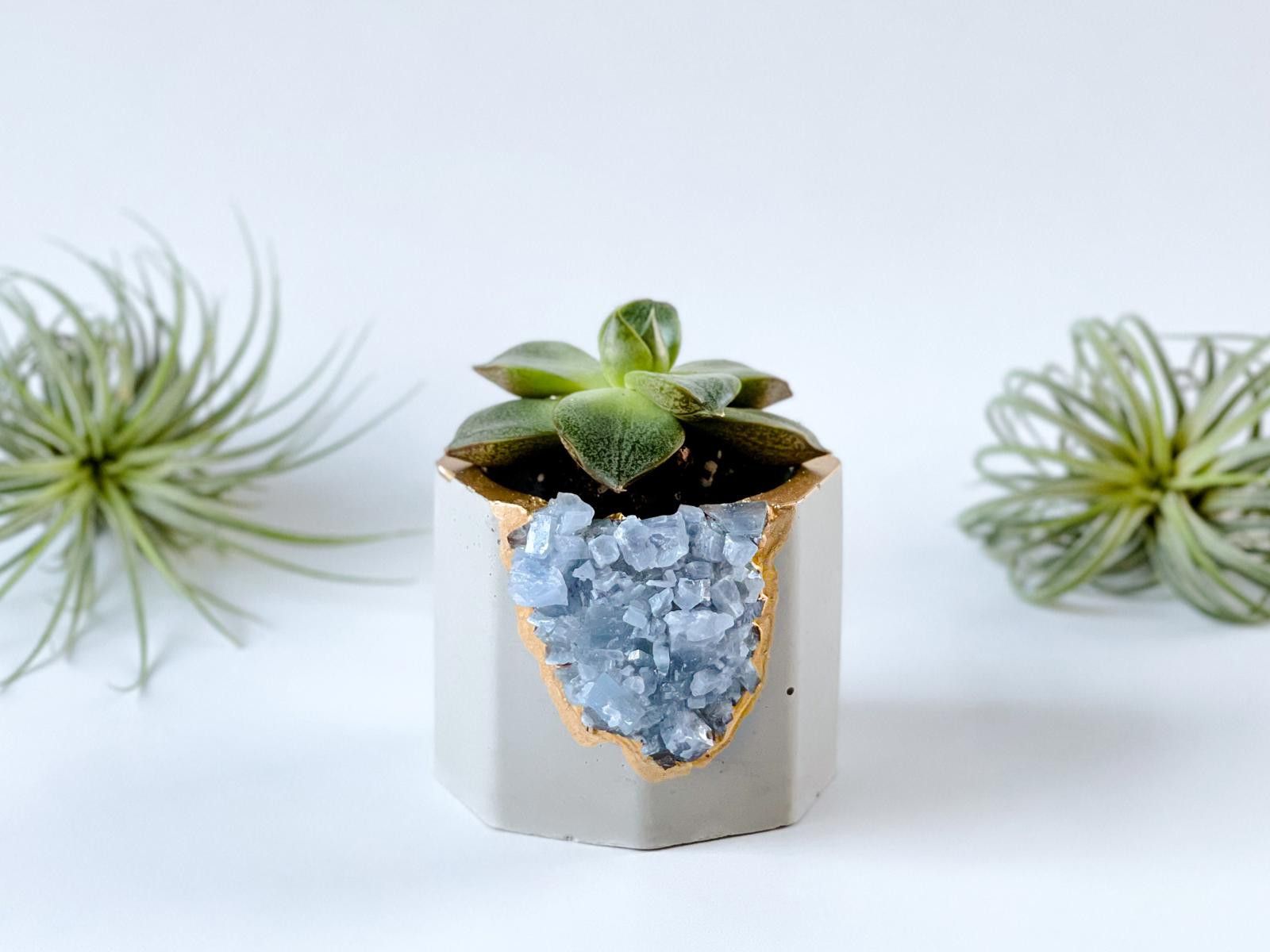 Other Succulent Crystal Planter | Geode Planter | Raw Blue Calcite Size ONE SIZE - 9 Thumbnail