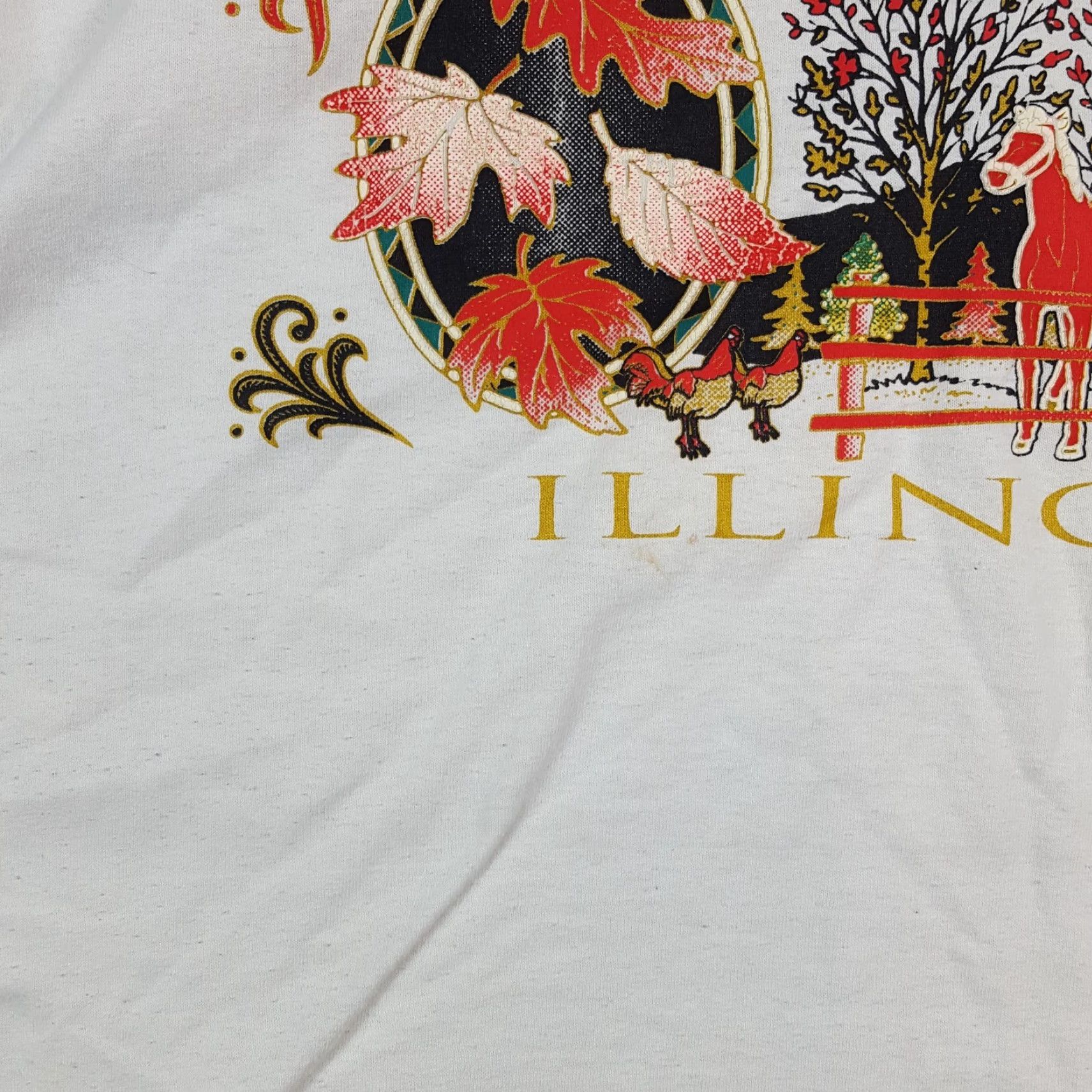 Fruit Of The Loom Vintage 90s Illinois Horse Farm Autumn Fall Leaves Size XL Y2K Animal T Shirt Size US XL / EU 56 / 4 - 3 Thumbnail