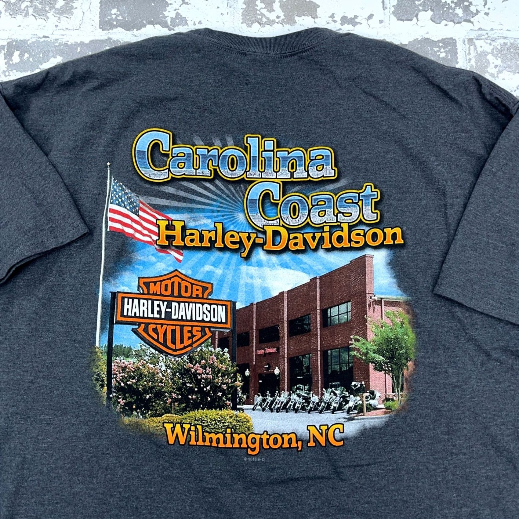 Harley Davidson Harley-Davidson Shirt Mens XXL Gray Tee Skeleton Skull Retro Biker Punk Goth Graphic Print Size US XXL / EU 58 / 5 - 5 Thumbnail
