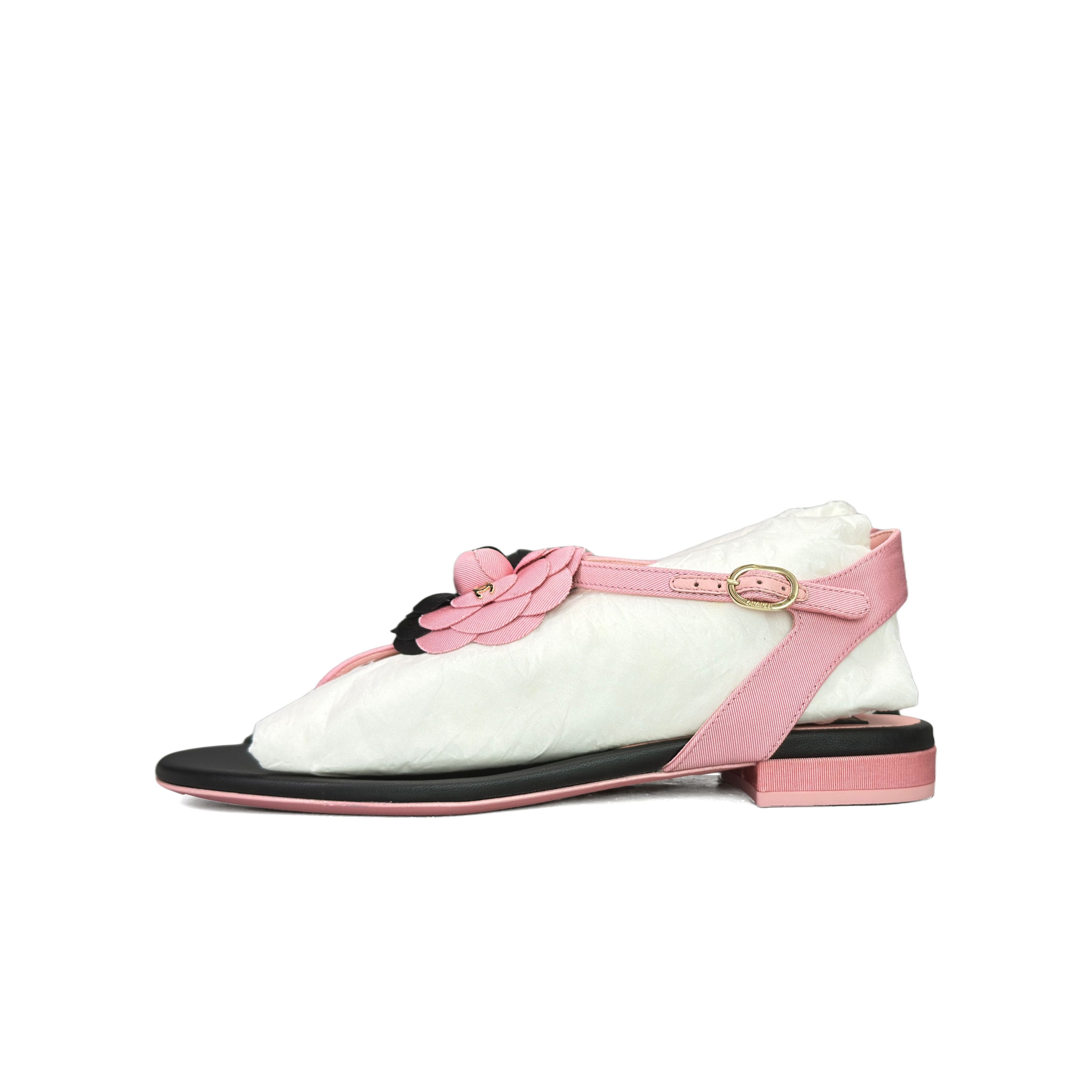 Chanel Chanel Camellia Flower Sandals Size 36.5 Size US 6.5 / IT 36.5 - 1 Thumbnail