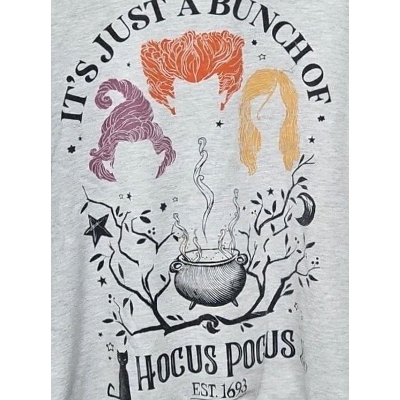 Vintage Disney Hocus Pocus Women’s Sweatshirt L Sanderson Sisters Graphic Pullover Crew Neck Gray Cotton Blend Juniors Activewear Sweatshirt Women Size L / US 10 / IT 46 - 2 Thumbnail