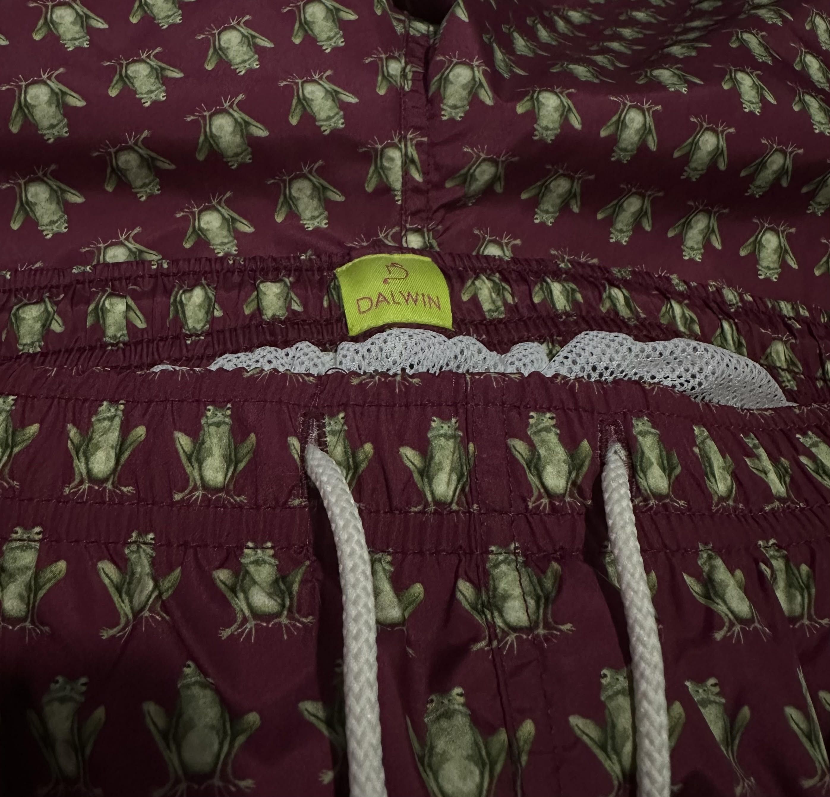 Other Dalwin Frog Swim Shorts Size US 32 / EU 48 - 4 Thumbnail