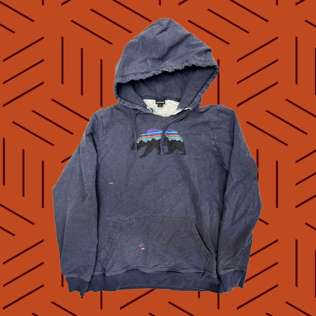Patagonia Patagonia Women's Hoodie Blue L Bear Mountain Graphic Organic Cotton Size L / US 10 / IT 46 - 1 Thumbnail