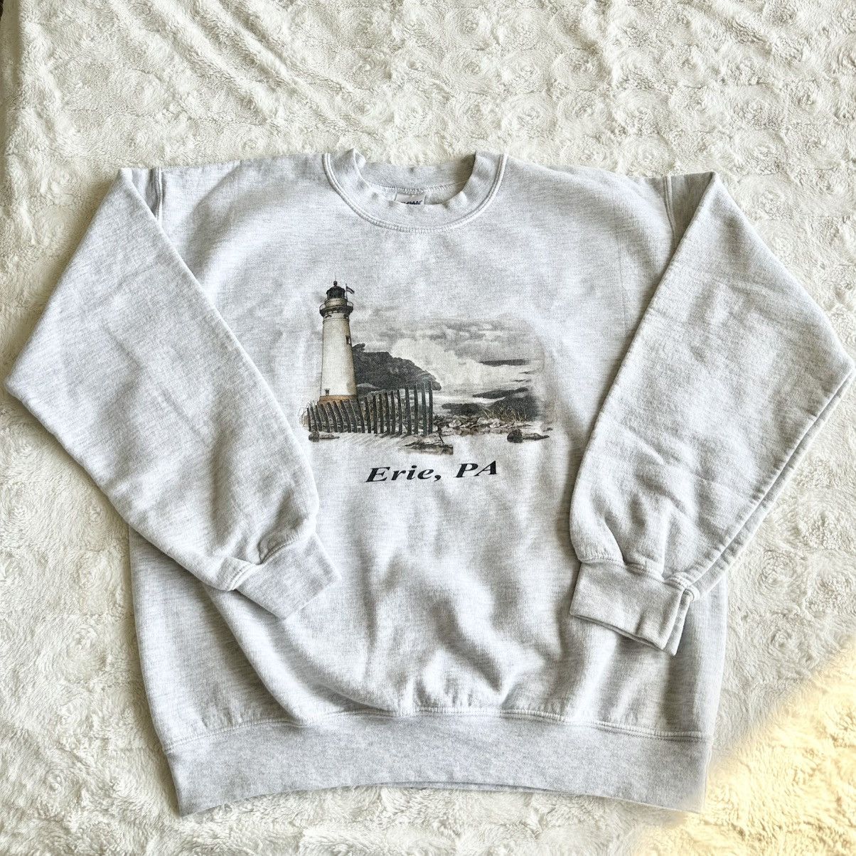 Gildan Vintage Lake Erie Pennsylvania Crewneck Sweatshirt Mens M Size US M / EU 48-50 / 2 - 1 Thumbnail