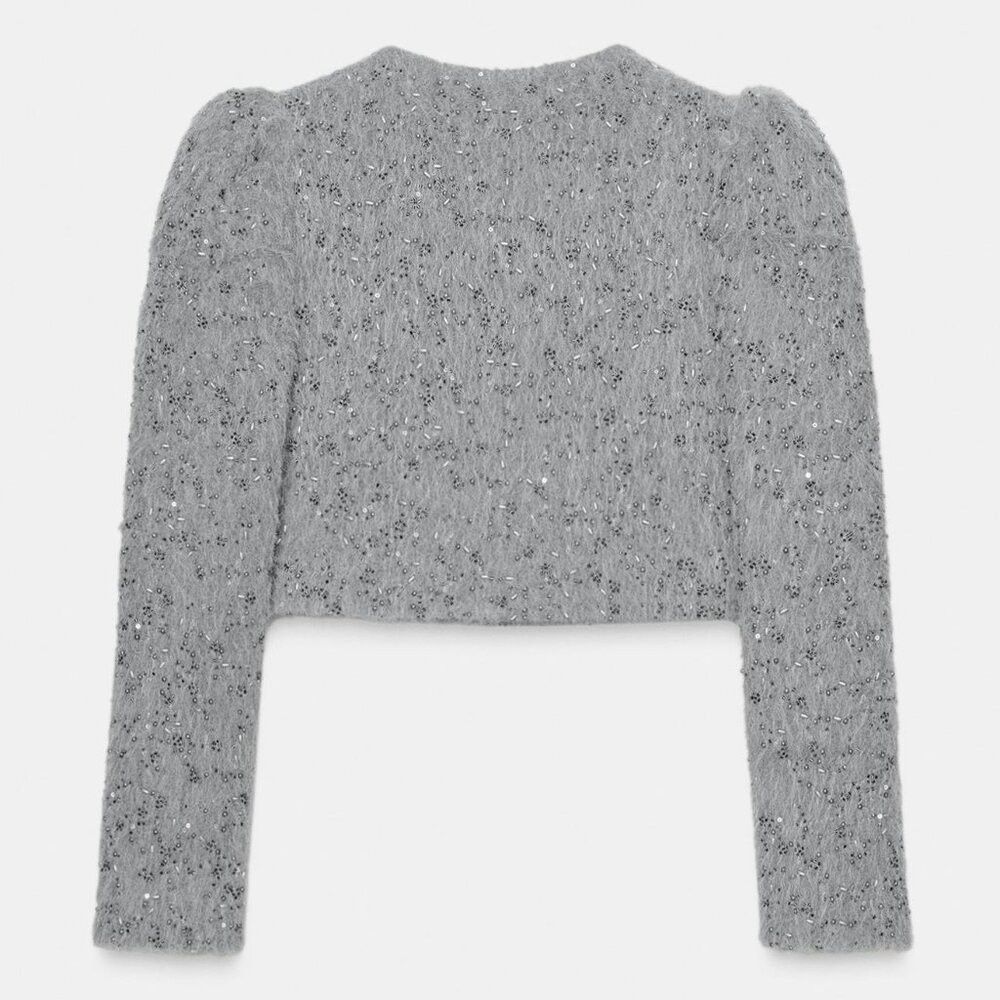 Zara ZARA FAUX FUR BEADED JACKET Size M / US 6-8 / IT 42-44 - 4 Thumbnail
