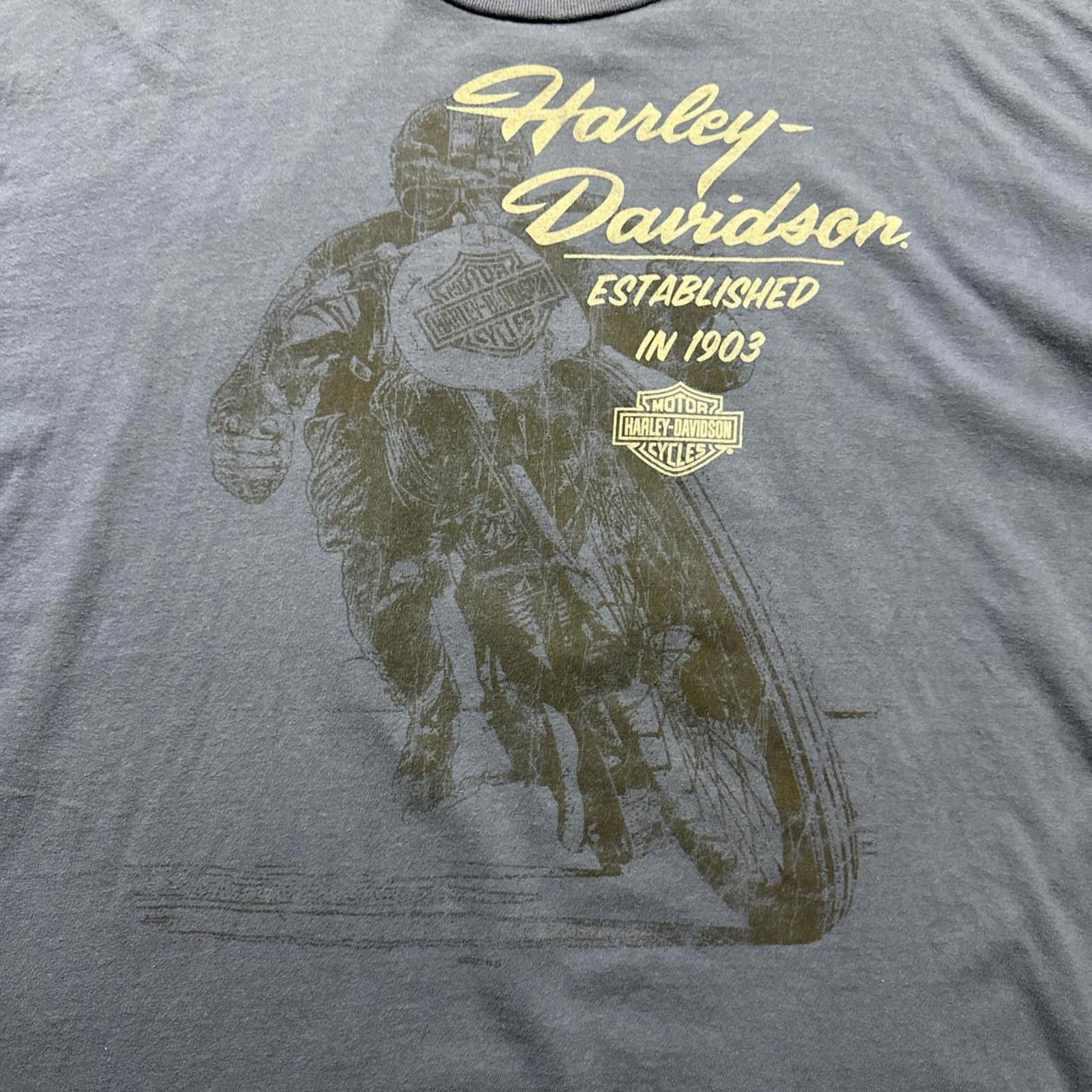 Harley Davidson Harley Davidson Allen Texas 2021 Blue Cotton T-shirt Size US XXL / EU 58 / 5 - 3 Thumbnail