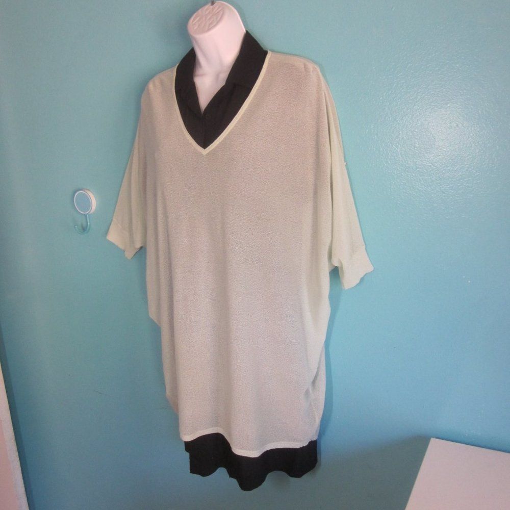 Eileen Fisher Eileen Fisher Sheer Pale Green Pullover Sweater Size L Petit Size L / US 10 / IT 46 - 5 Thumbnail