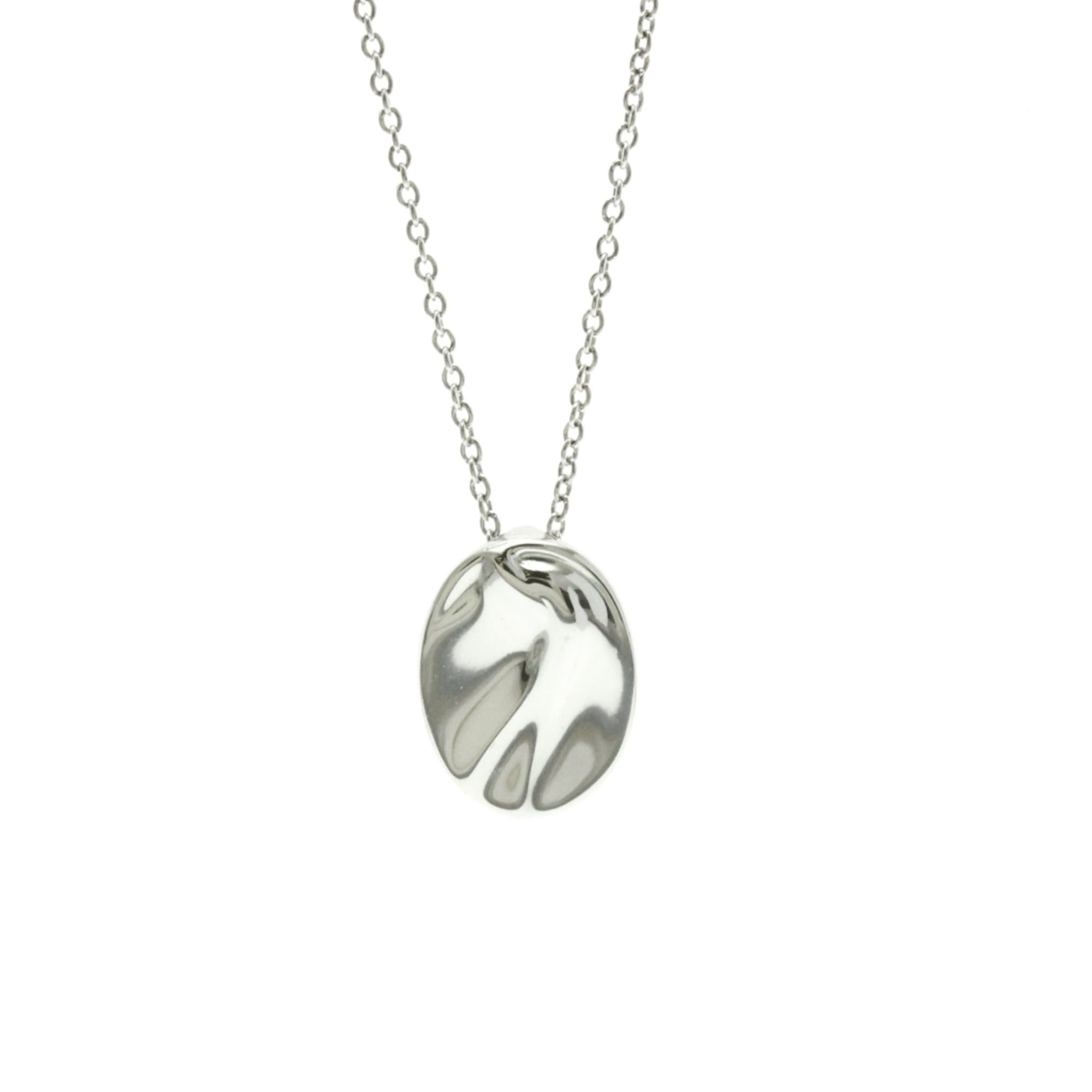Tiffany Zodiac Aquarius Necklace Platinum No Stone MenWomen Fashion Pendant Necklace (Silver)
