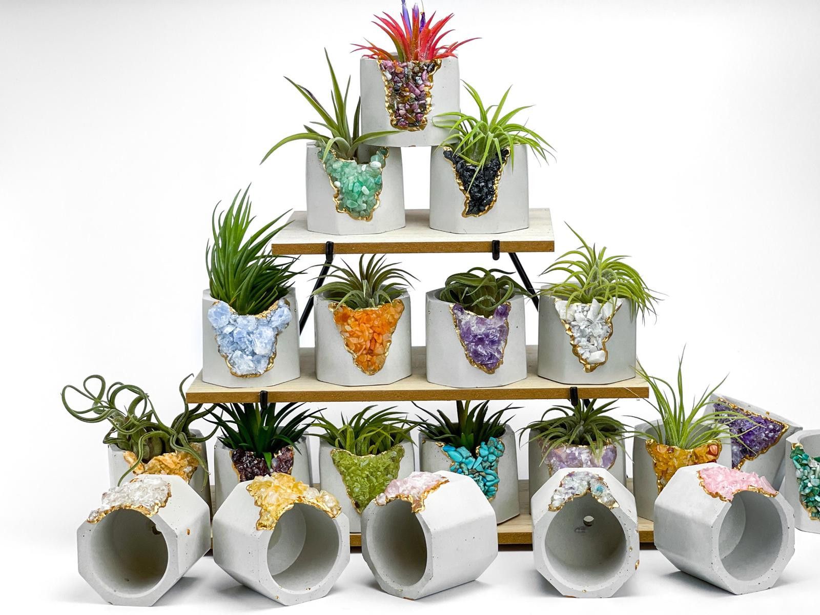Other Purple Small Air Plant Holder Display Stand Fern Tillandsia Size ONE SIZE - 4 Thumbnail