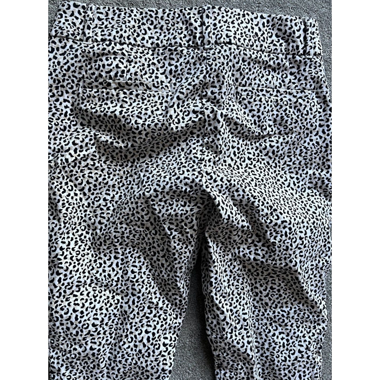 Ann Taylor Ann Taylor LOFT Outlet Animal Print Skinny Ankle Pull on Pants Womens Size 10 Size 32" / US 10 / IT 46 - 4 Thumbnail