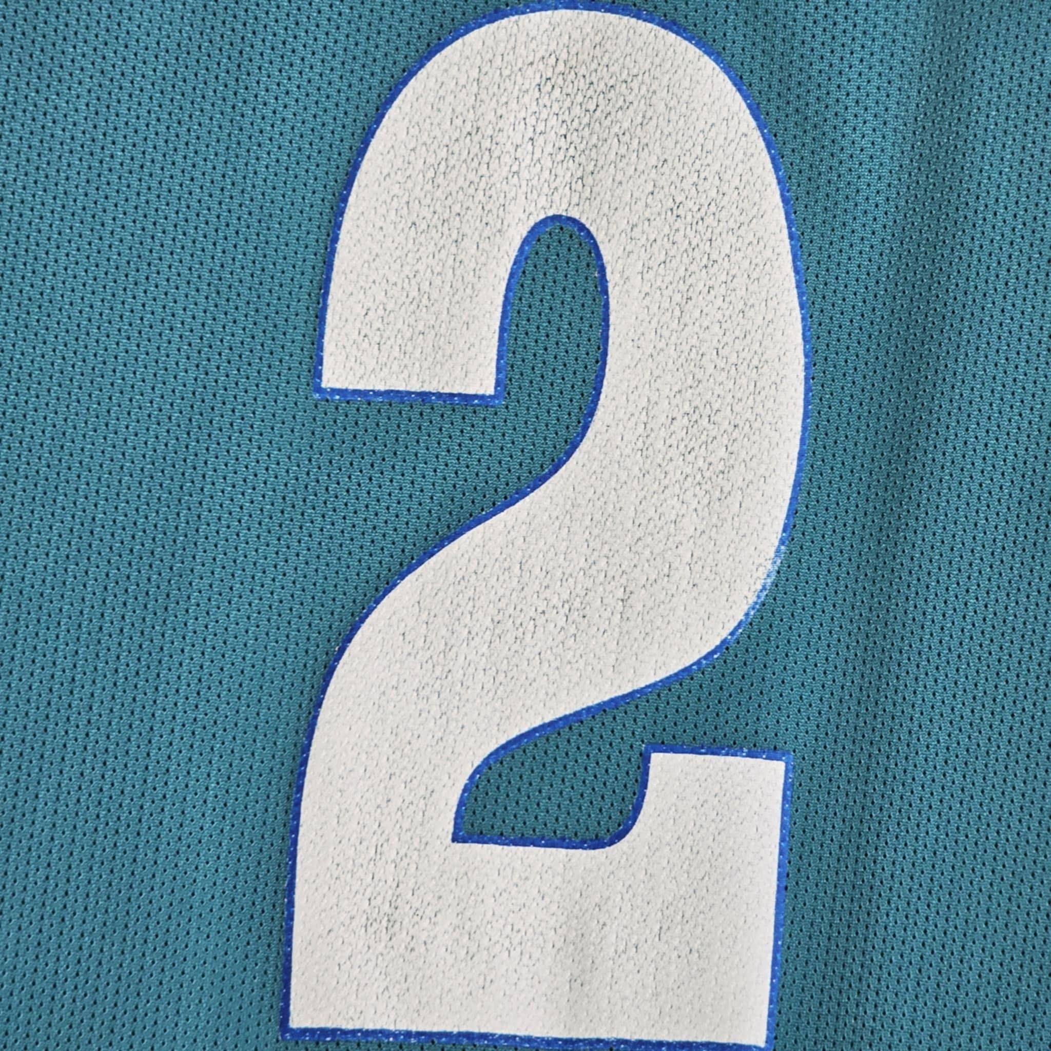 Champion × Vintage Charlotte Hornets Vintage 90s Larry Johnson Jersey Size US XL / EU 56 / 4 - 8 Thumbnail