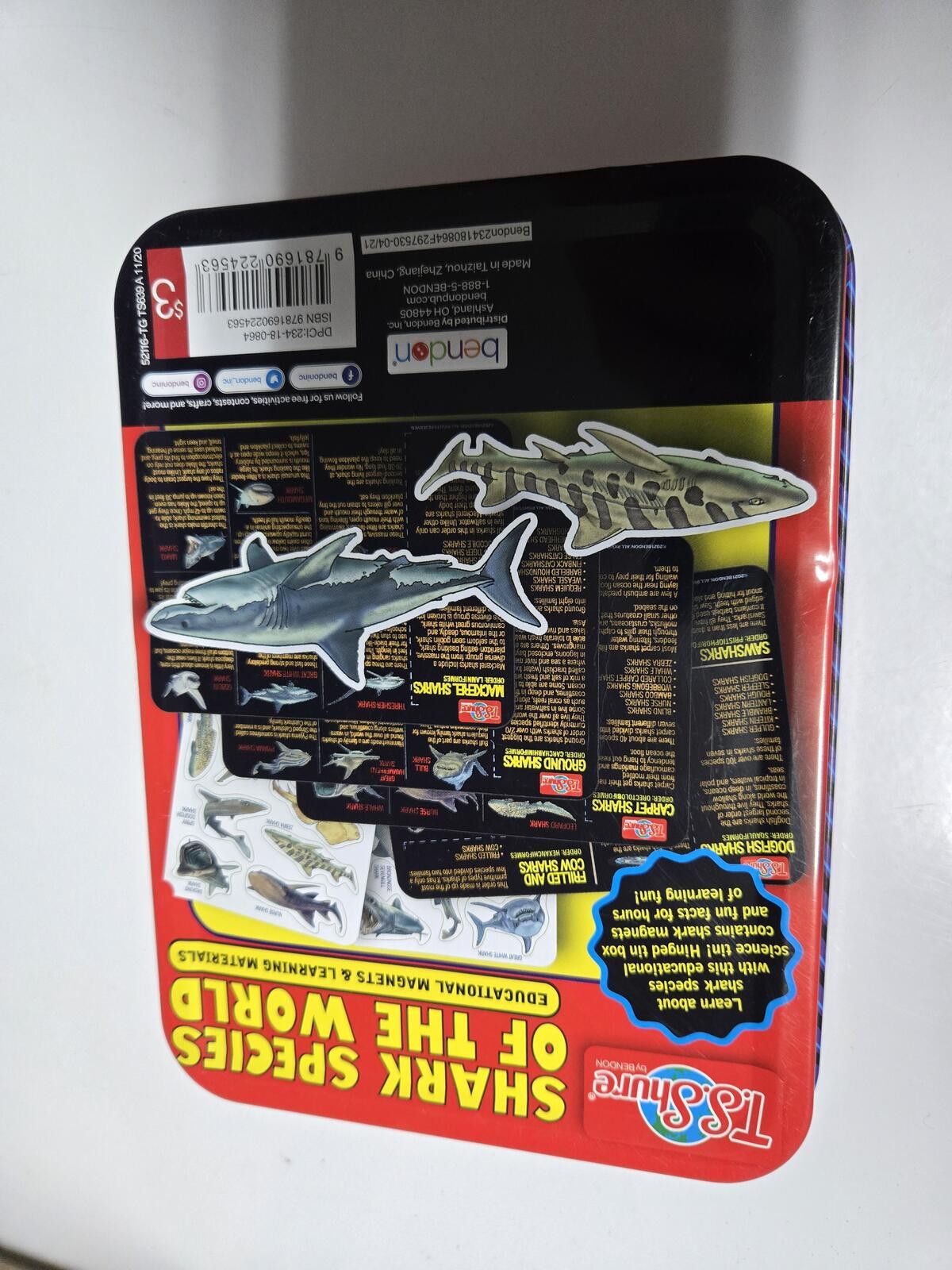 Other STEM Shark Human Skeleton Magnetic Kits TS Sure Educational Size ONE SIZE - 4 Thumbnail