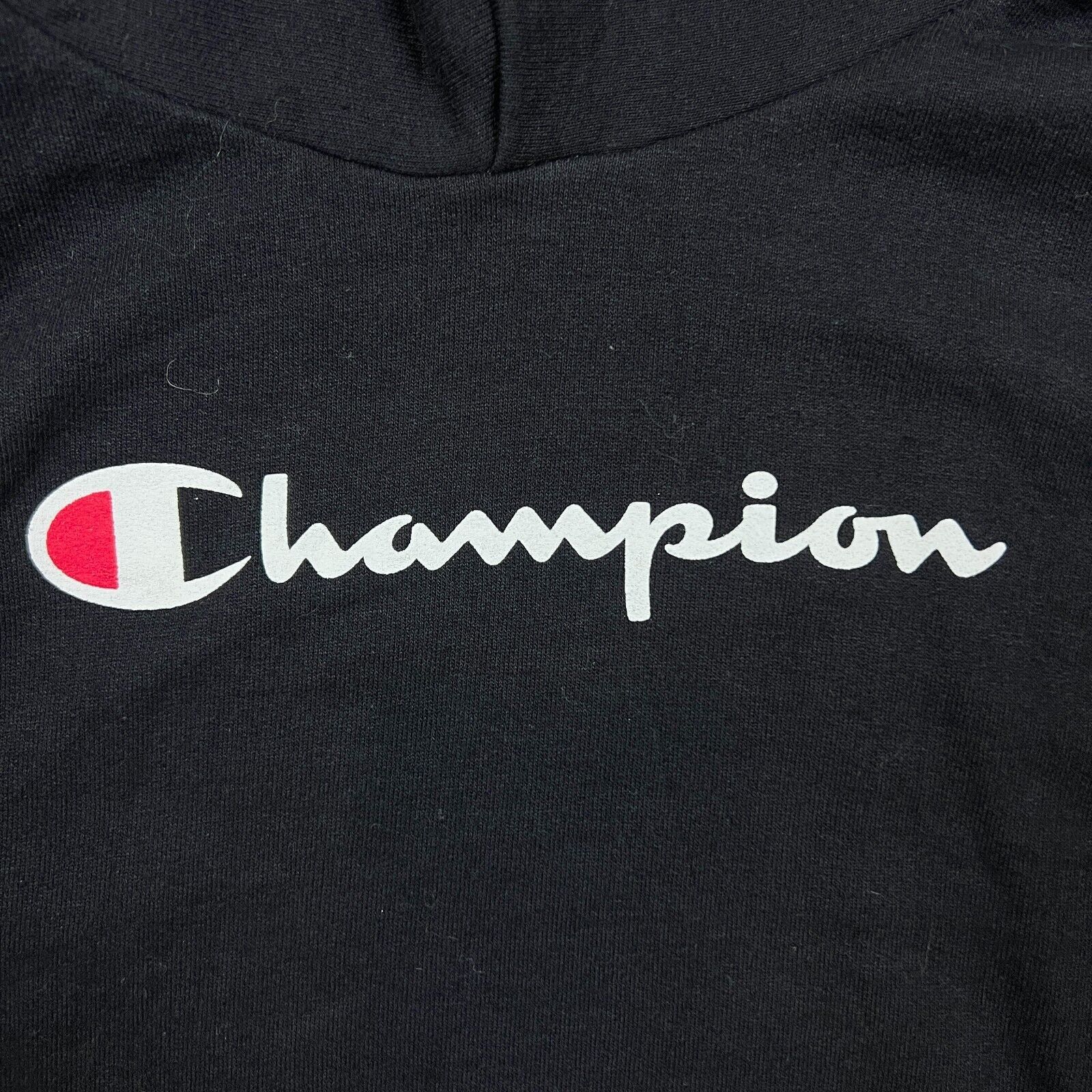 Champion × Vintage Champion Hoodie Medium Eco Script Pullover Hooded Sweatshirt Size US M / EU 48-50 / 2 - 2 Thumbnail