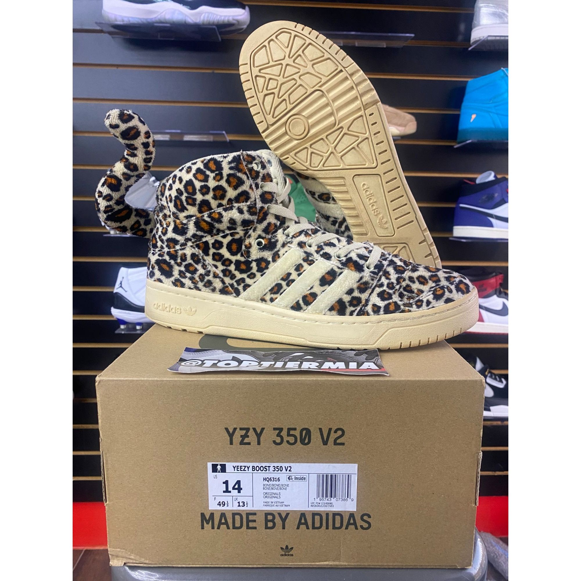 adidas gazelle silver green womens Cloud Leopard Camel White 38
