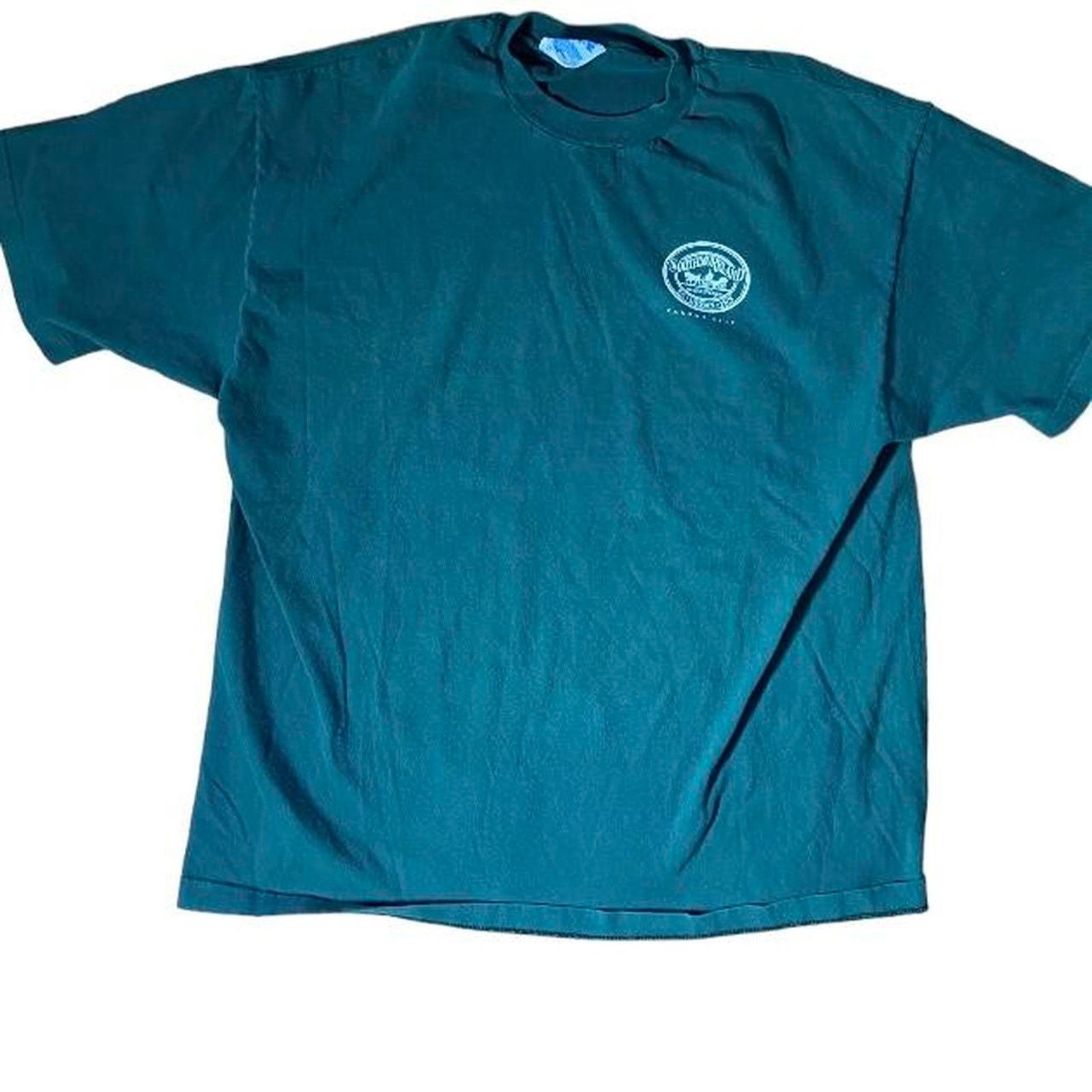 Hanes 90s green hanes beefy tee Size US XL / EU 56 / 4 - 1 Thumbnail