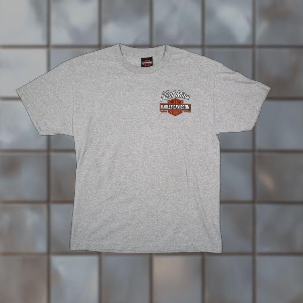 Harley Davidson Harley-Davidson Graphic T-Shirt Men's Large Gray Short Sleeve Crew Neck Gator Leesburg Florida Biker Retro Size US L / EU 52-54 / 3 - 1 Thumbnail