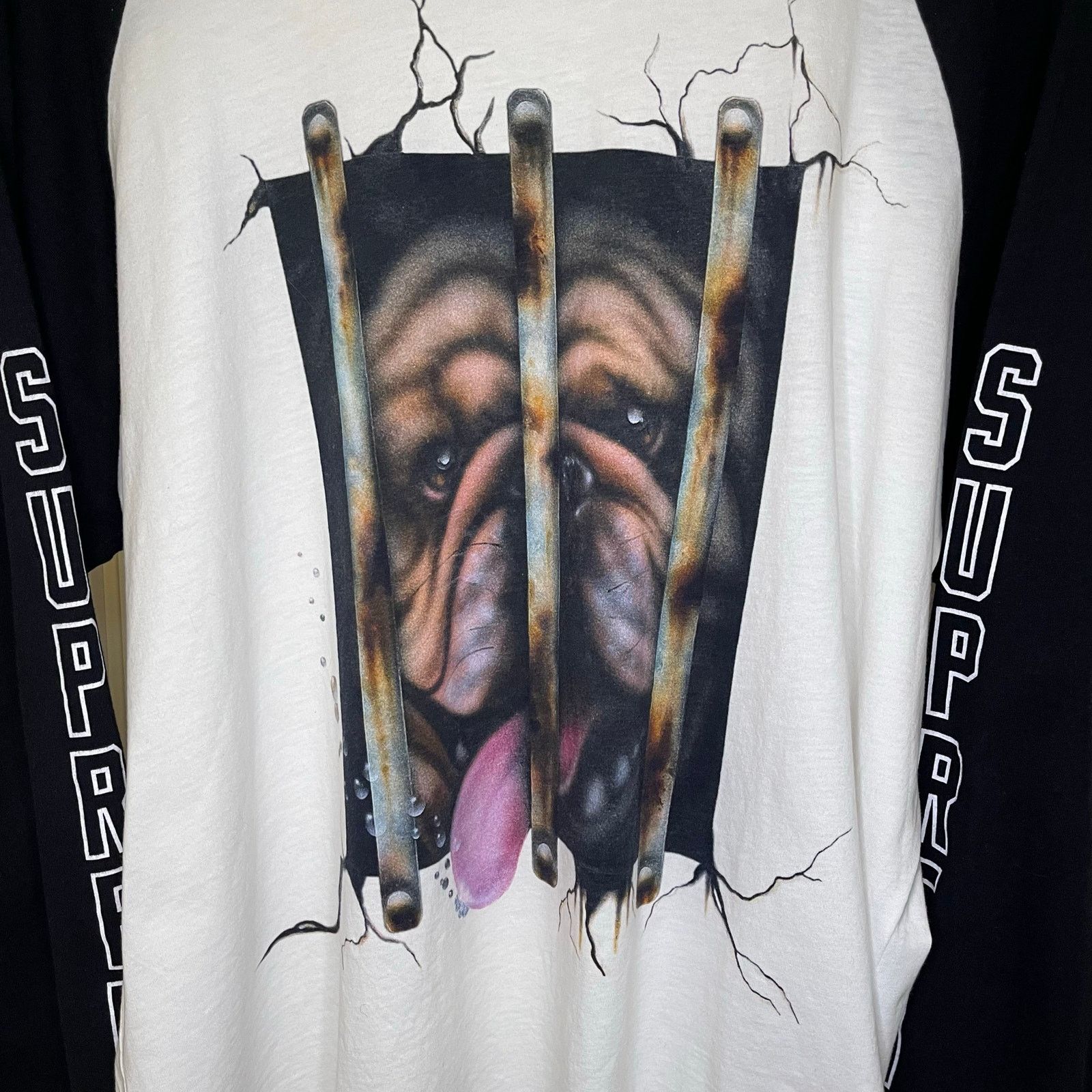 Supreme Supreme SS2020 MArio Ayala Dog Raglan L/S Top | Grailed