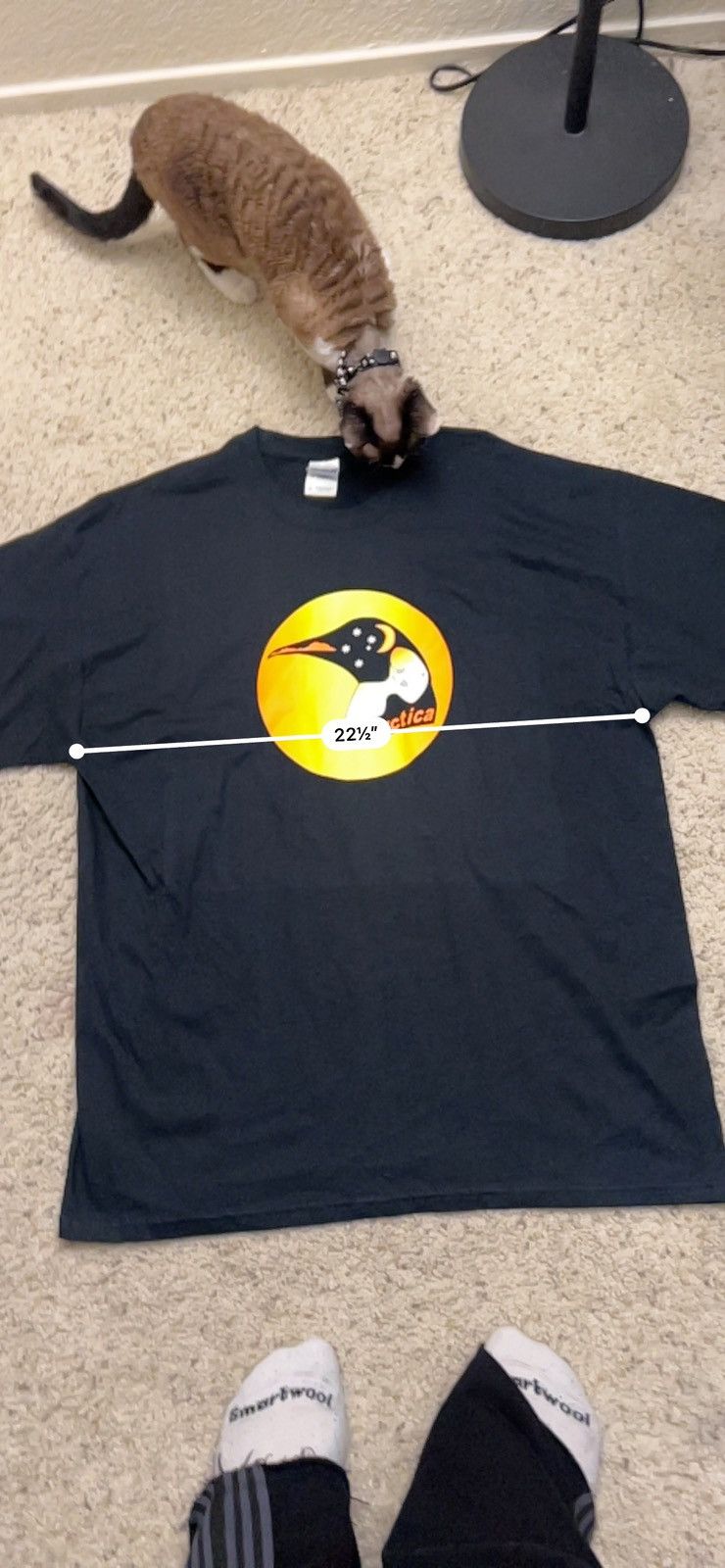 Other × Vintage Vintage Antarctica Penguin Map Tee Size US XL / EU 56 / 4 - 4 Thumbnail
