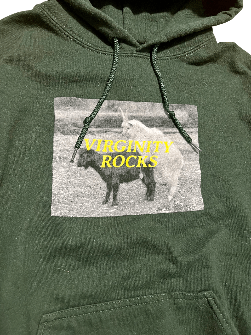 Danny Duncan Virginity Rocks Goats Danny Duncan Green Hoodie Sweatshirt Size US L / EU 52-54 / 3 - 2 Thumbnail