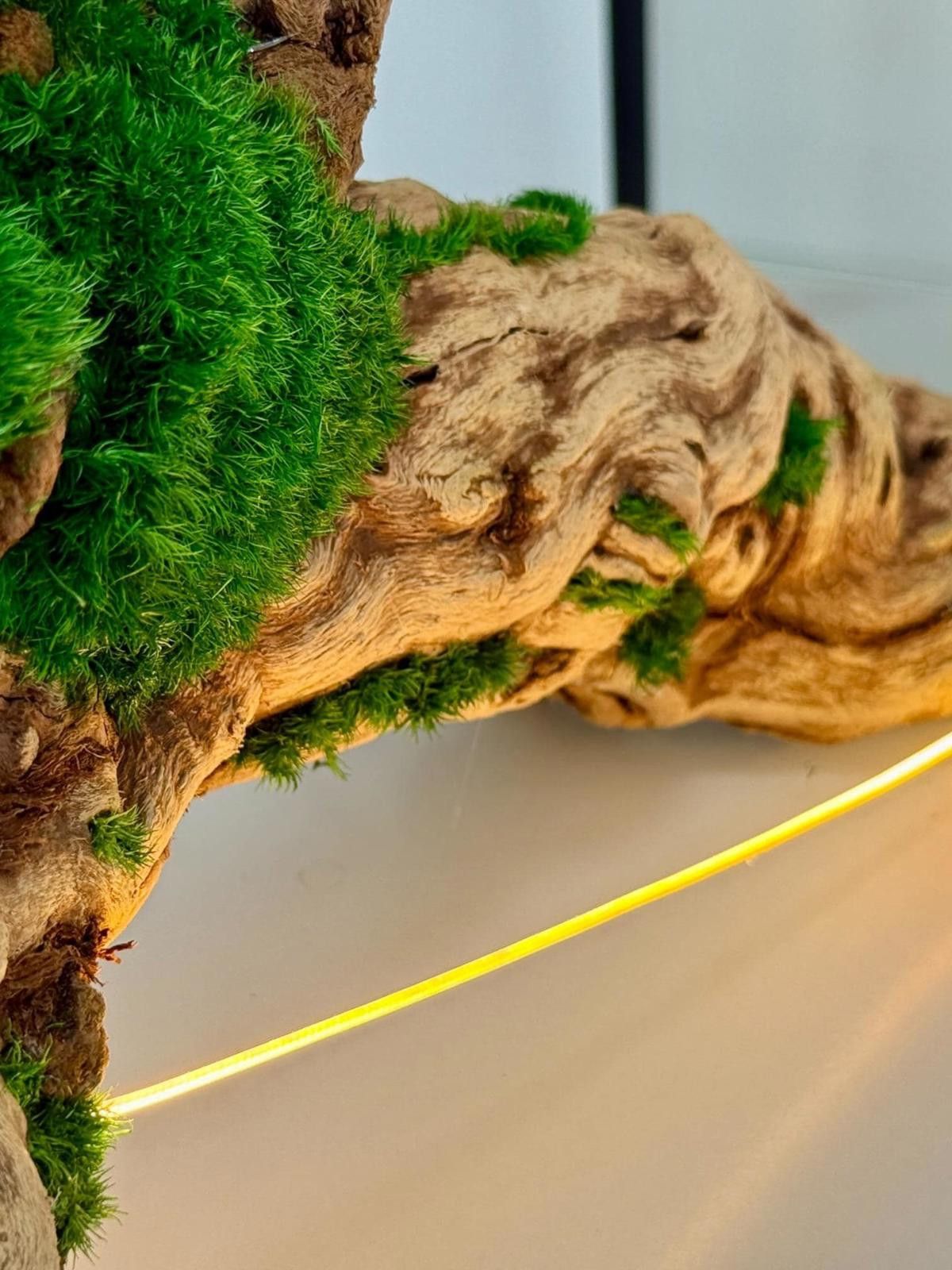 Other Organic Modern Driftwood Table Lamp Sculptural Wood Lighting Size ONE SIZE - 7 Thumbnail