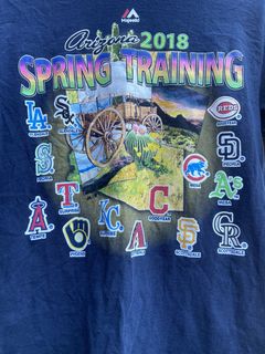 NIKE SPRING TRAINING MLB LA DODGERS BLUE GRAPEFRUIT LEAGUE BASEBALL 2018  SHIRT