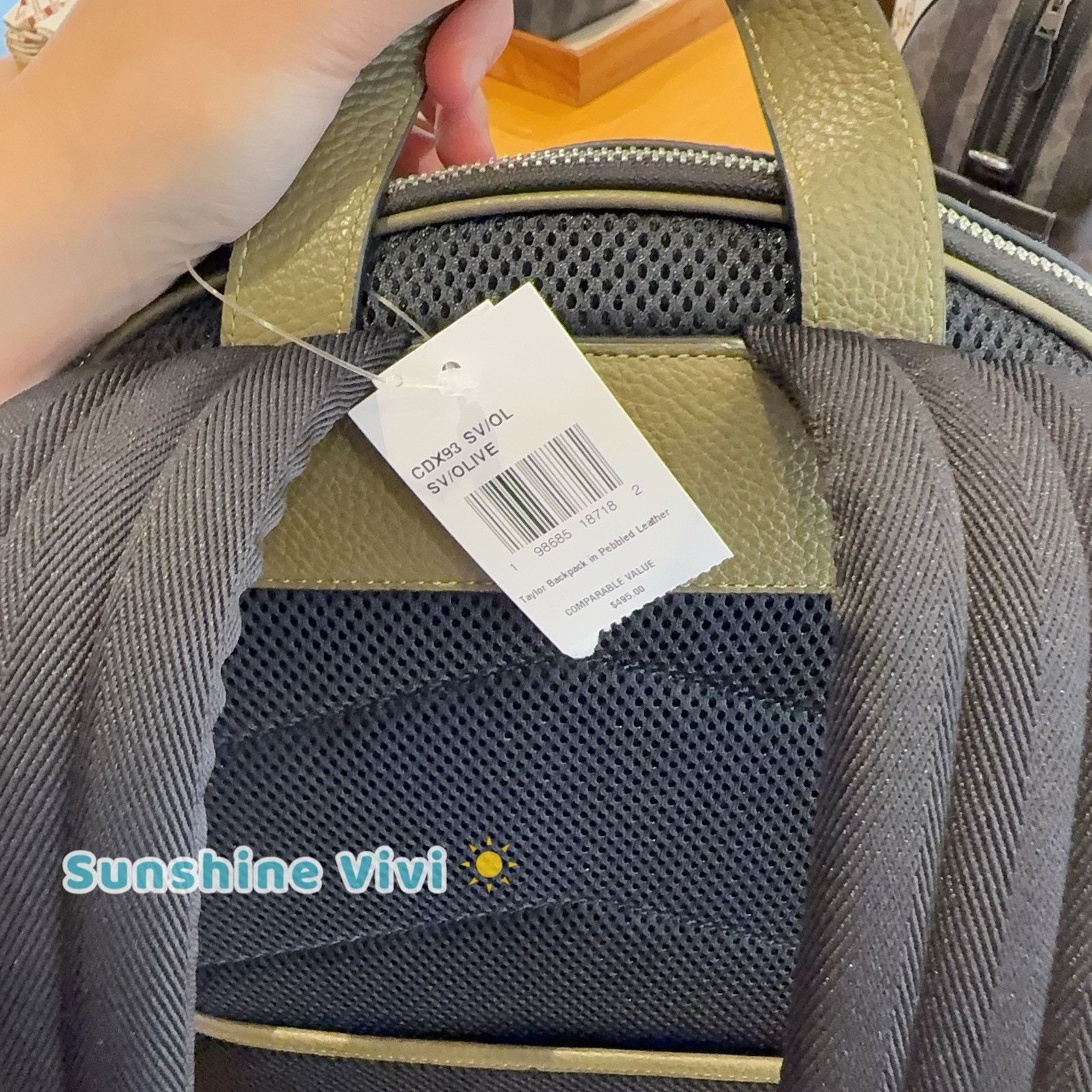 Coach NWT Coach Taylor Backpack Pebble Leather CDX93 Olive Silver Size ONE SIZE - 5 Thumbnail