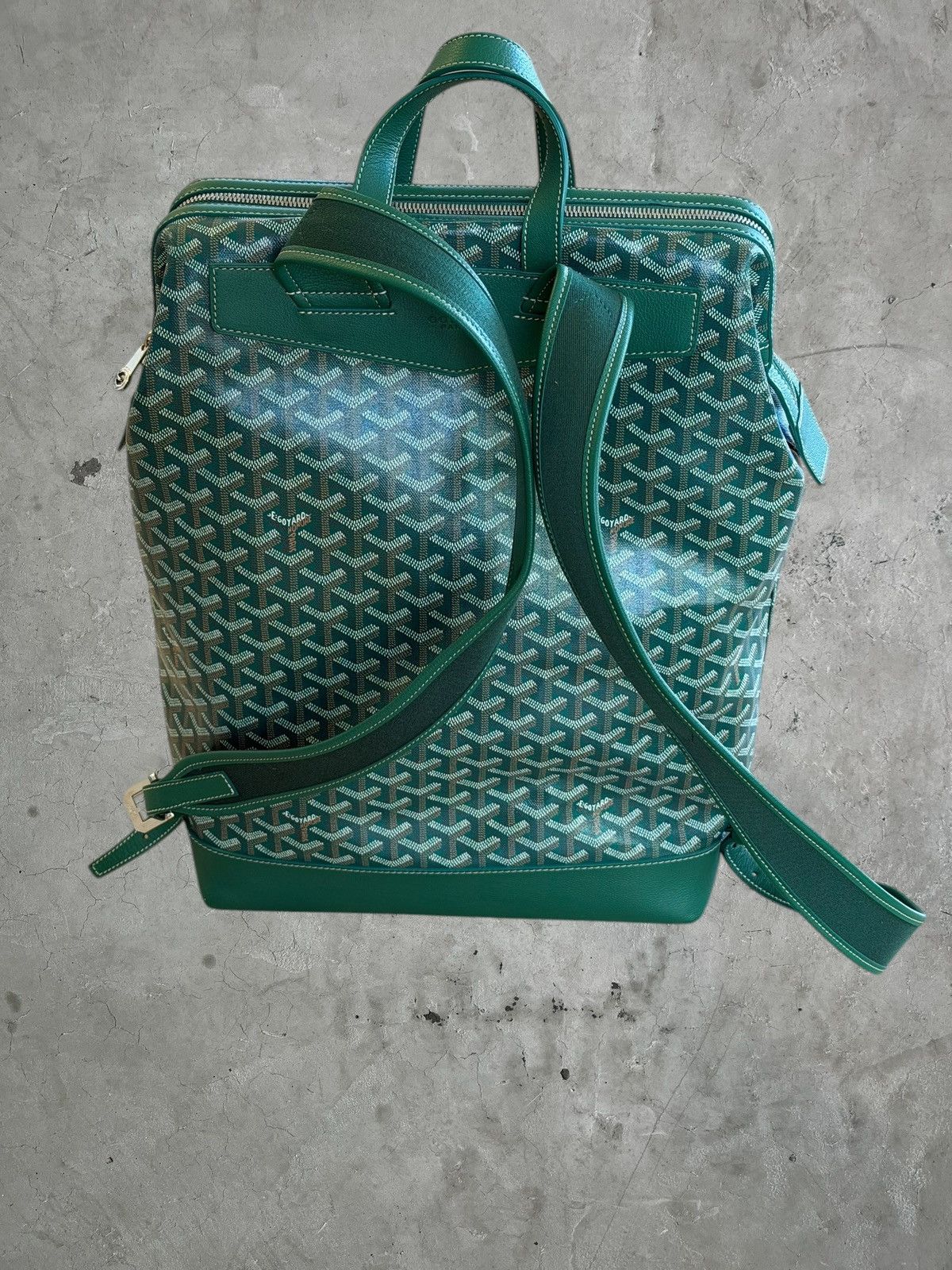 Goyard Goyard Green Cisalpin Backpack Size ONE SIZE - 9 Thumbnail